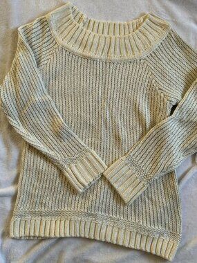 Sweater with Silver Stripes